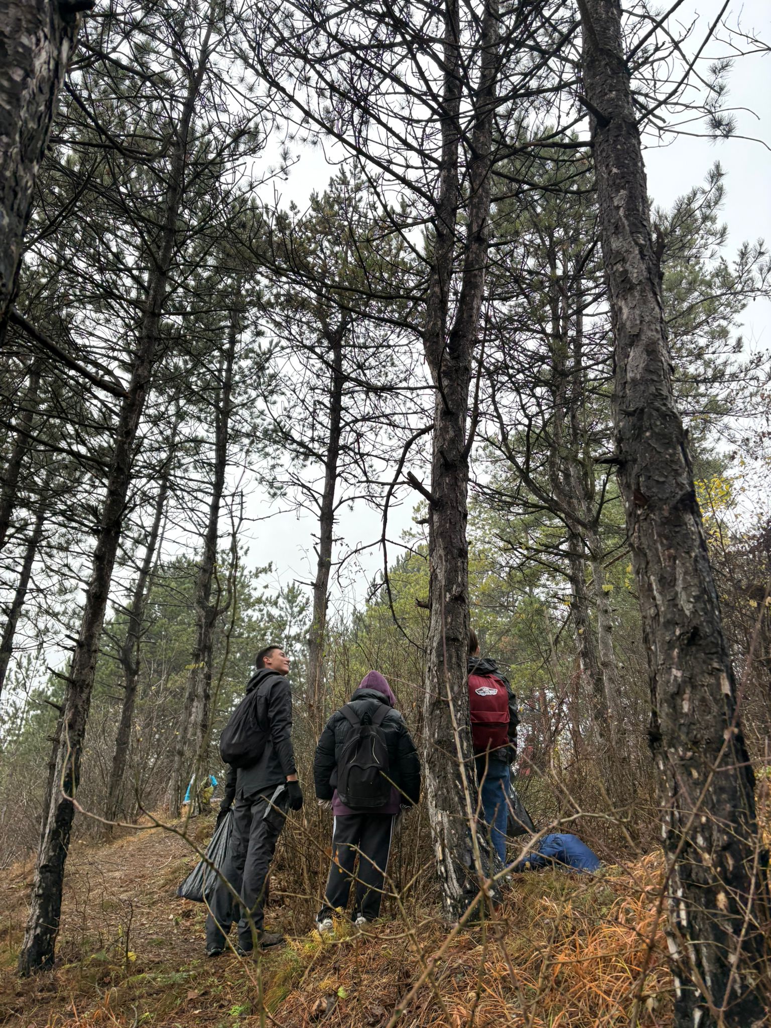 Voluntarii Environmental Rise în timpul acțiunii de igienizare a Pădurii Făget